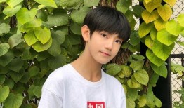 张铭浩最新爆料,揭秘娱乐圈惊人内幕