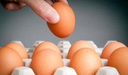 蛋仔纤维皮肤最新爆料,神秘纤维力量揭示