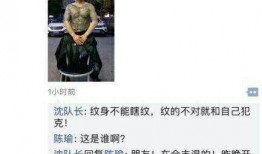 戒哥最新爆料,娱乐圈最新爆料事件深度解析