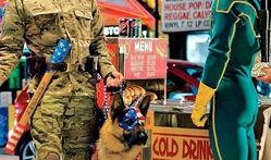 狼狗最新爆料图片,神秘图片揭秘不为人知的秘密