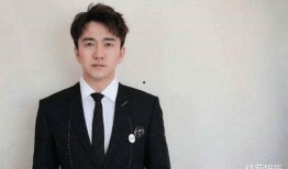 陈舒爆料文章大全最新,揭秘娱乐圈幕后真相与热点事件