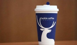 瑞幸咖啡联动最新爆料,潮流元素与咖啡香碰撞，带你领略不一样的味觉盛宴