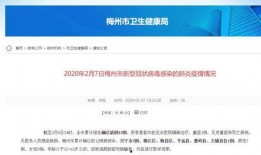 新型冠病毒最新爆料,病毒变异追踪与全球防控策略解析